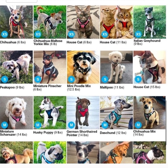 Adorable Rudolph doggie sweater! - Picture 7 of 7